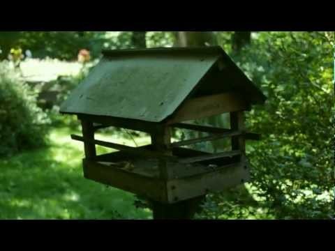Botanical Garden in KrakÃ³w [HD] - Short Film  (OgrÃ³d Botaniczny w Krakowi