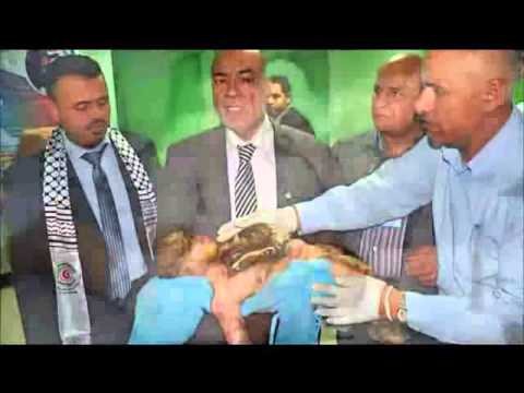 Israel Palestine Conflict : the war crimes of israel