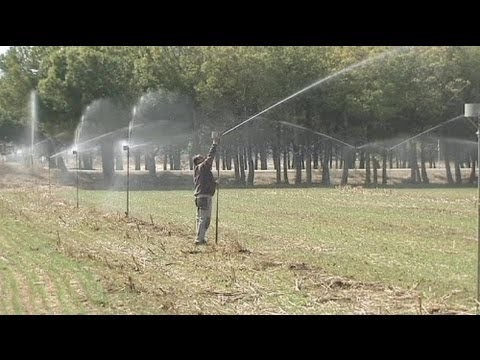 Drought hammers Spain, Portugal