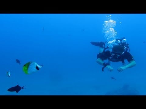 Diving in Guam and Palau with USC Dornsife Students