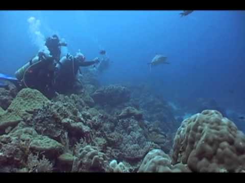 MSD Dive Palau 2008 - Saies Corner to Ulong Channel