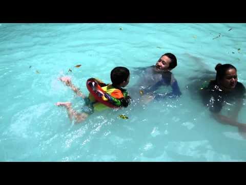 Brandon Swimming With Alf in Palau