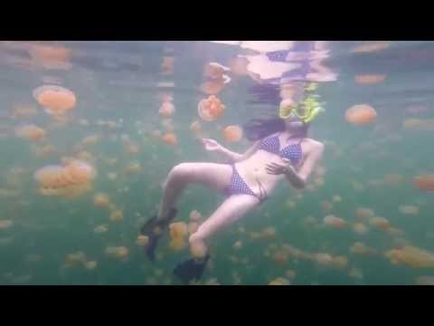 Swimming with jellyfish in Palau