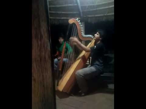 eisenbahn paraguay harfe.avi