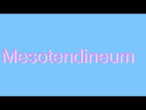 Mesotendineum Definition