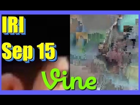 IRI Best Vines Compilation - September 15