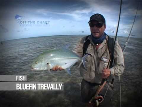 Bluefin Trevally: fly fishing the flats: Seychelles