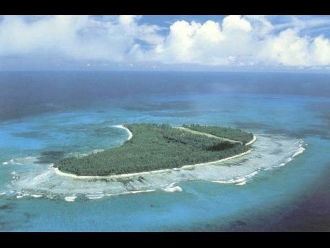 Sega Ile Denis - Denis Island Seychelles