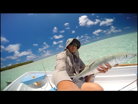 Fly Fishing Bonefish Fakarava Atoll Tahiti 10/ 10/ 2014