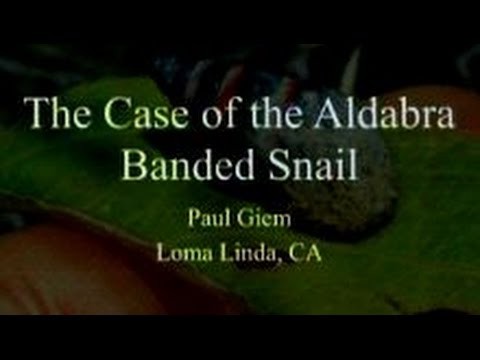 The Case of the Aldabra Banded Snail 4-25-2015 by Paul Giem