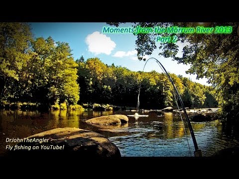 Moments from the MÃ¶rrum River 2013 Part 2 - fly fishing for big salmon and