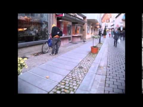 Hildesheim:eine Grauganz geht mit seinem Herrchen spazieren