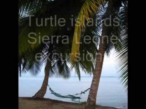 Turtle Islands Excursions