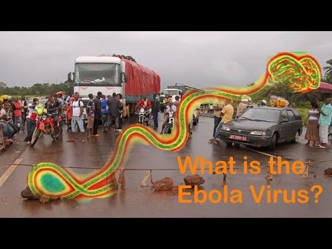What is the Ebola Virus?