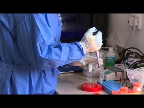 Ebola: dans le laboratoire de Kerrytown