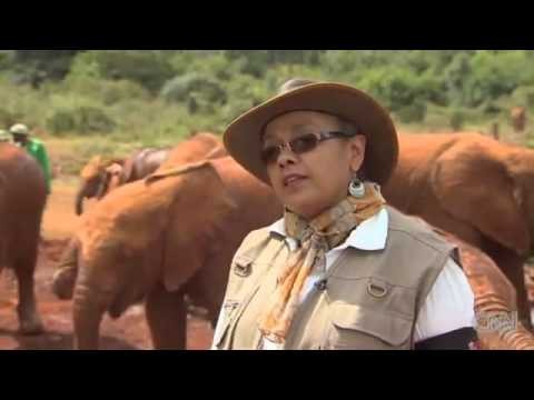 Kenya's first lady saves elephants