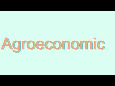 How to Pronounce Agroeconomic