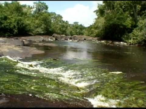 Natuurreservaten van Suriname: Raleighvallen - Voltzberg