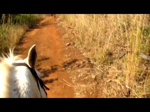 Swaziland on horseback