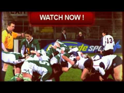 Watch - South Africa XV v Niger - live Rugby stream - at Gaberone