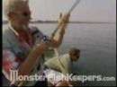 Fishing Monster African Tiger Fish - Monsterfishkeepers.com