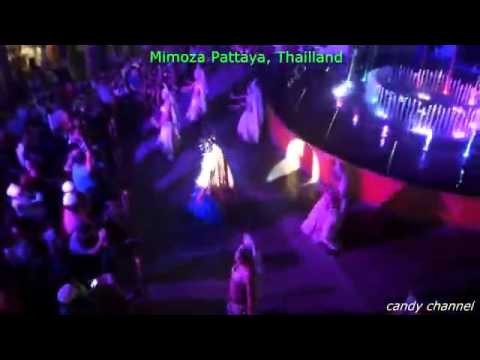 Pattaya Mimoza