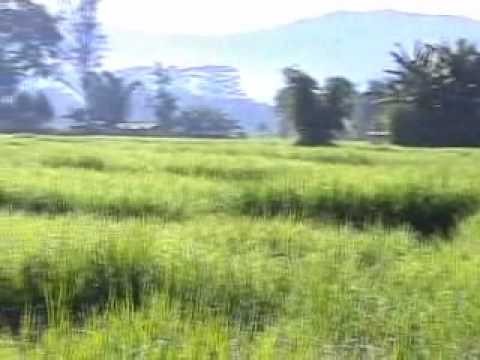 Visita a Timor Leste 2003.wmv