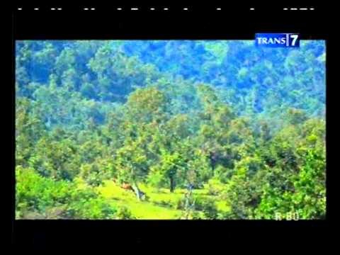 Jejak Petualang  Perbatasan Indonesia-Timor Leste Part 1