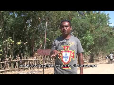 ERA Labour-based rural roads works and contractor training in Timor-Leste -