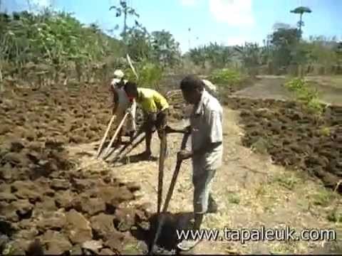 Hai Atoin Ameput - Lagu Timor
