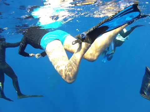 Tonga Whale Swim v3 GoPro 19.9.12