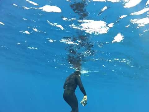 Tonga Whale Swim v2 19.9.12