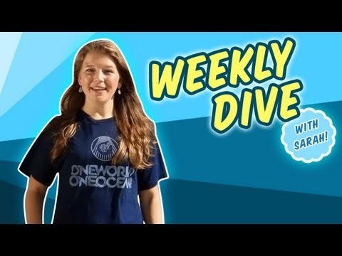 Weekly Dive: Hump(back) Day Special!