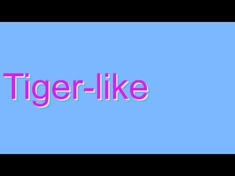 Tiger-like Definition