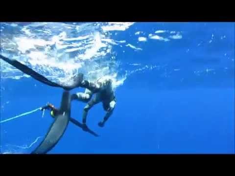 Deep Secrete Of Tonga - Spearfishing