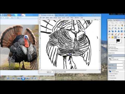 Drawing A Turkey