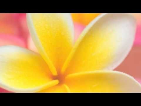 Tuvalu song- Jeff Lota **Taku Sei**