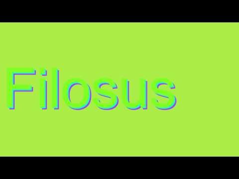 How to Pronounce Filosus