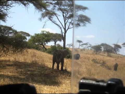 Explore Tanzania 2011
