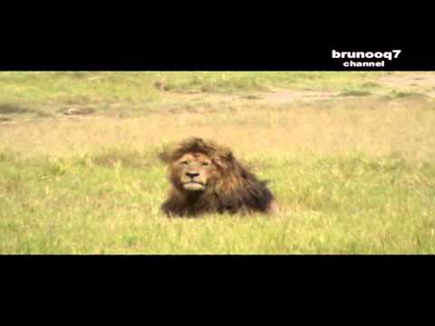 Ngorongoro crater tour Tanzania