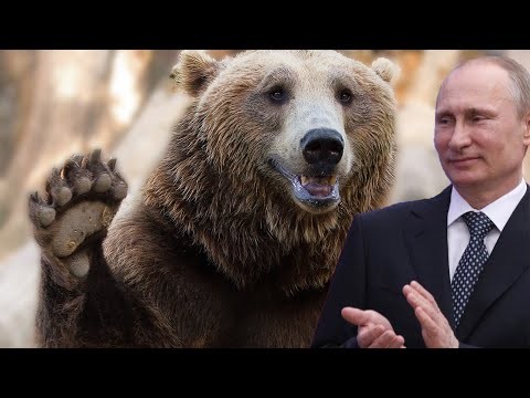 Putin Holds A Show-Stopping