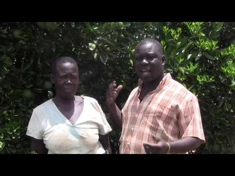 George Interviews Akello Evelyn about her Orange Tree in Monroc
