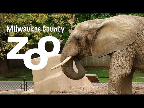 Milwaukee County Zoo Commercial