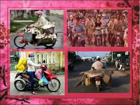 NATIONAL LIFE OF VIETNAM