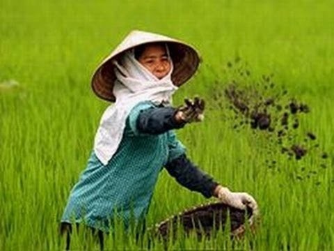 Vietnam-Historia-Producciones Vicari.(Juan Franco Lazzarini)