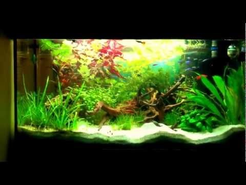 awesome green aquarium fish tank 120L