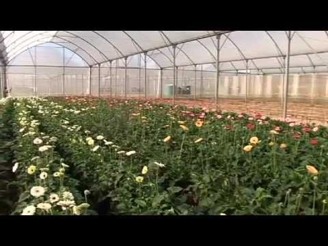MEDCEN Agrifood SouthAfrica Long 100611 Vimeo640x360