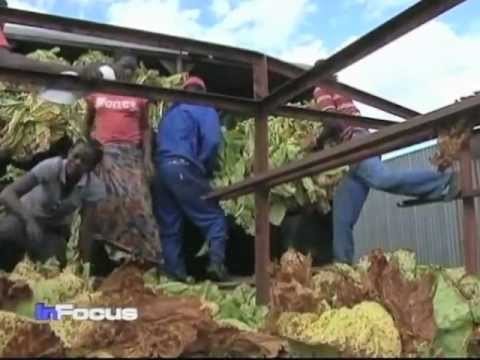 Zimbabwe Farmers
