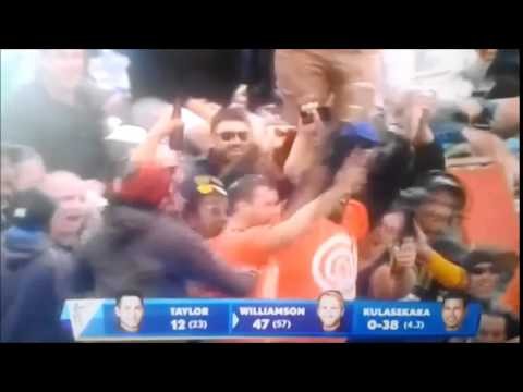 Man in the crowd catches ball with one hand New Zealand vs Sri Lanka 2015 W
